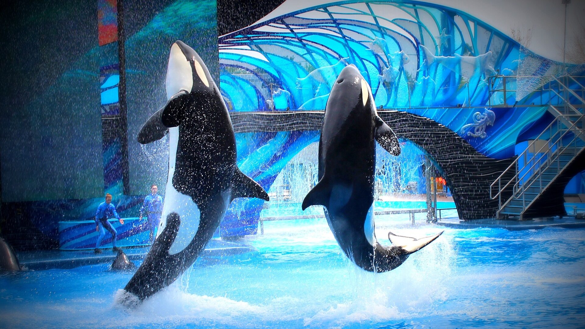 2024年6月 神戸須磨シーワールドがついにオープン！