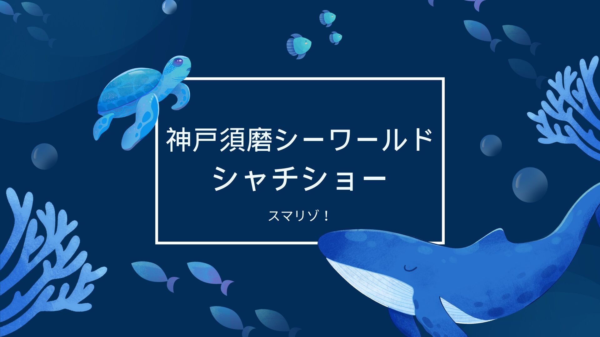 神戸須磨シーワールドのシャチショーを楽しむための完全解説【オルカ】